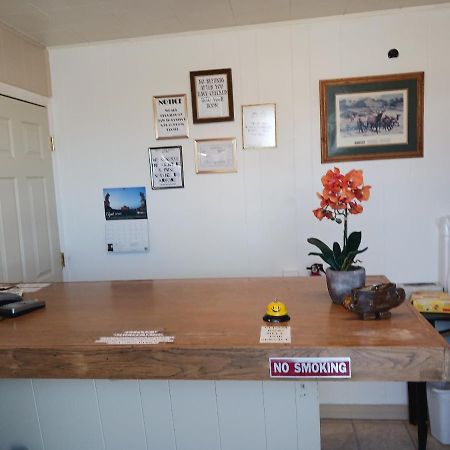 White Pine Motel อีลี ภายนอก รูปภาพ
